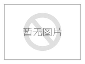 t1、T2浪涌保護(hù)器怎么選 怎么搭配？百度文心一言VS深度求索